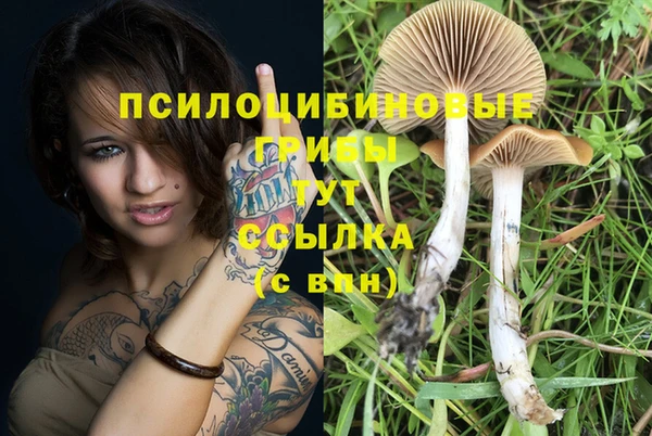 дурь Горнозаводск