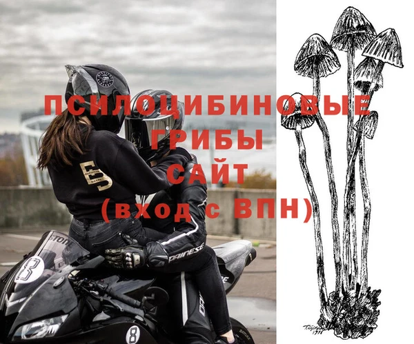 гашик Горно-Алтайск