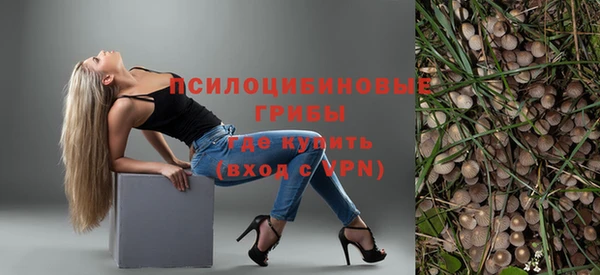 дурь Горнозаводск